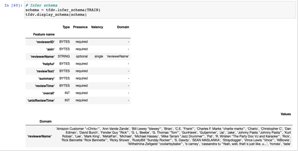 TFDV Schema